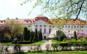 Muzeul Țării Crișurilor- Oradea