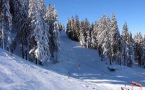Partia de ski Ruia – Poiana Brasov