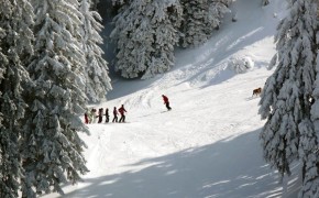 Pârtia de ski Sulinar – Poiana Brasov